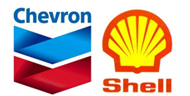 chevron-shell